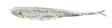 Thumper Jerk Shad