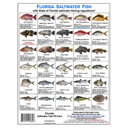 Florida Saltwater Fish ID Card
