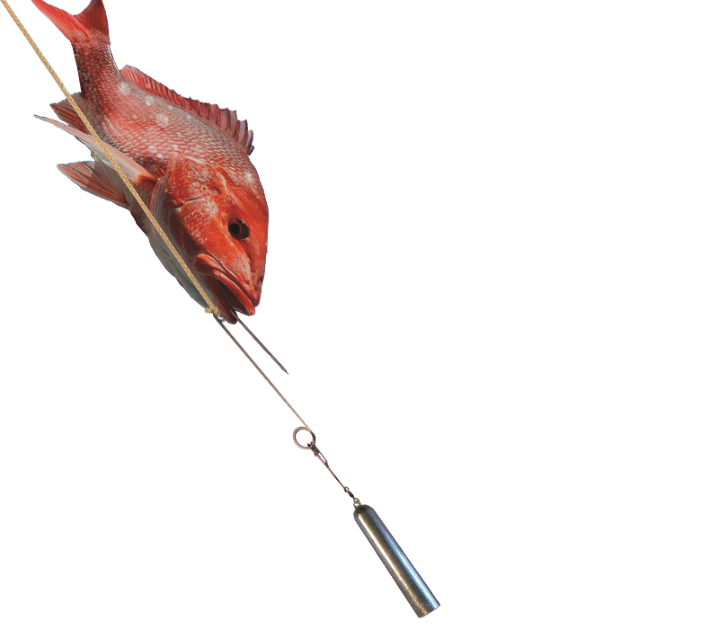 FISH SAVER DESCENDER