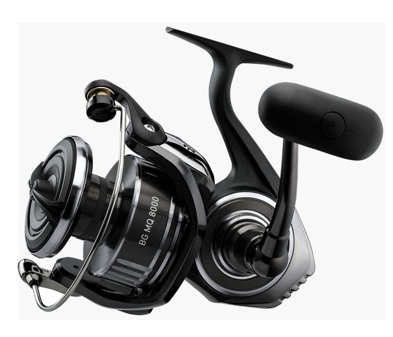 daiwa bg spinnign reel Daiwa