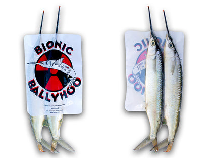 Bionic Bait Ballyhoo Unrigged