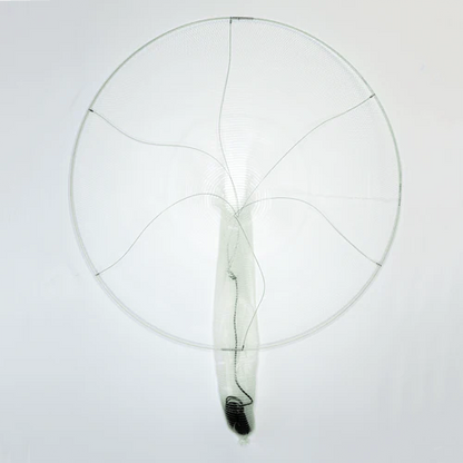 The BallyHoop - Flex Collapsible 24" Hoop Net