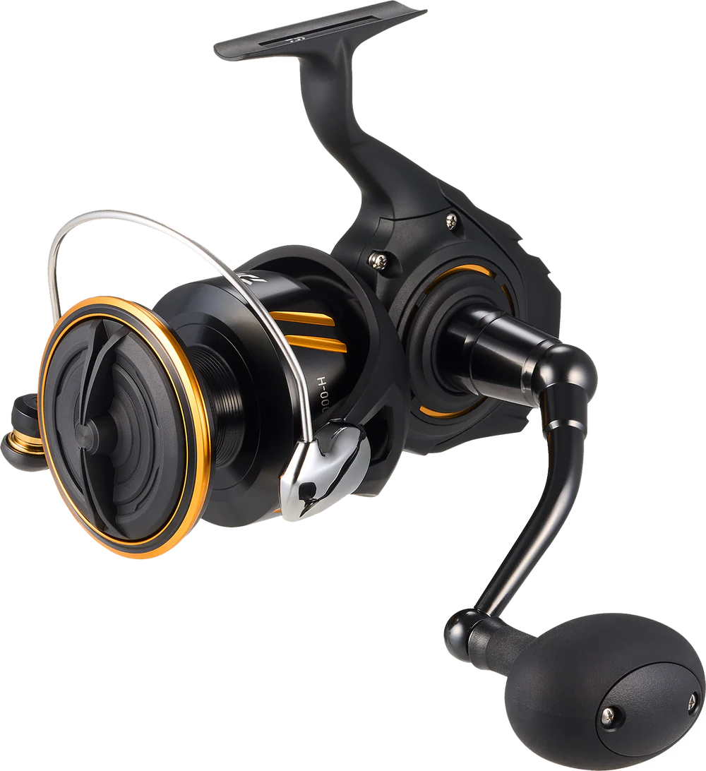 Daiwa BG SW Spinning Reel